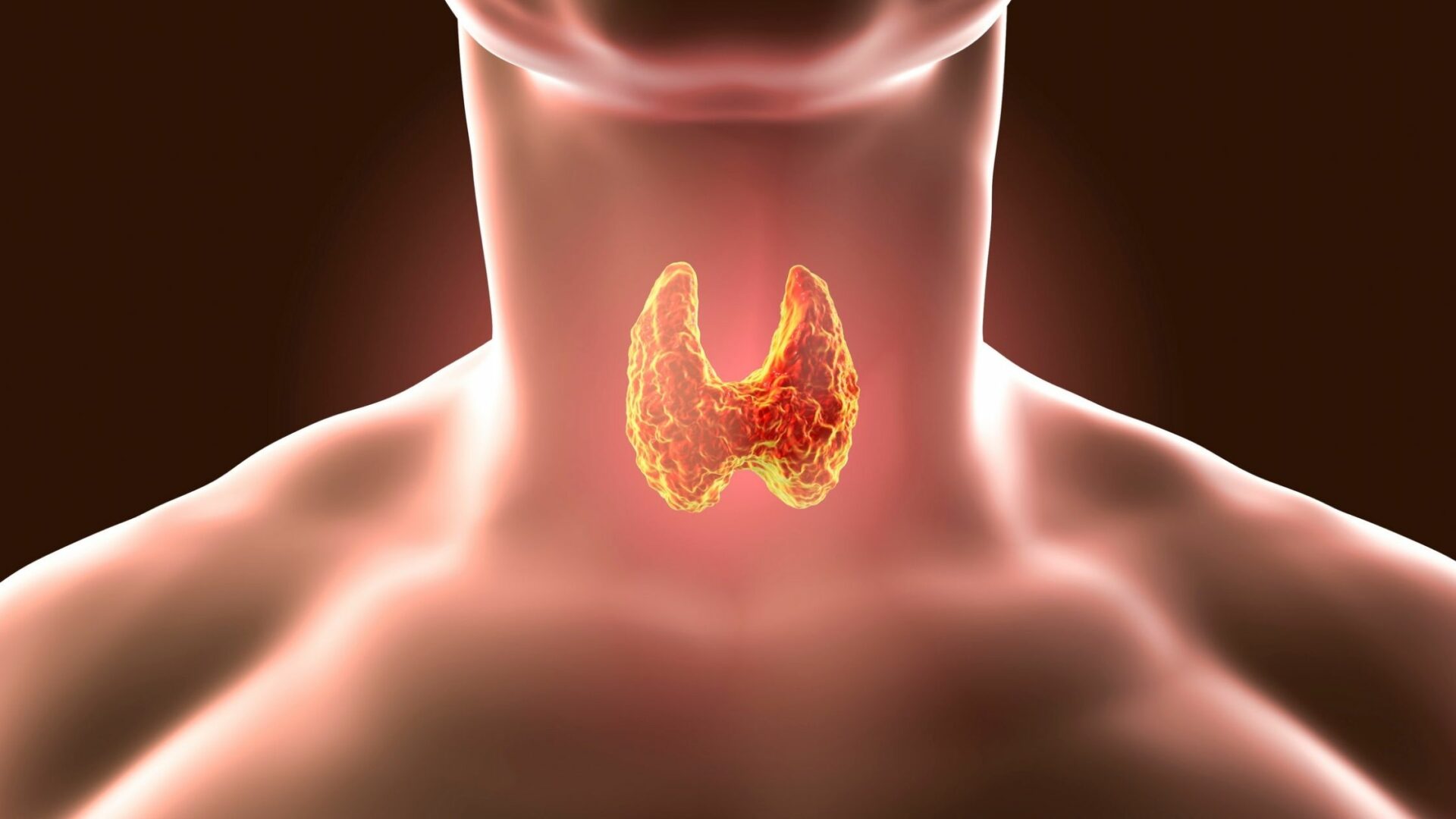 Is My Thyroid Making it Difficult to Lose Weight?