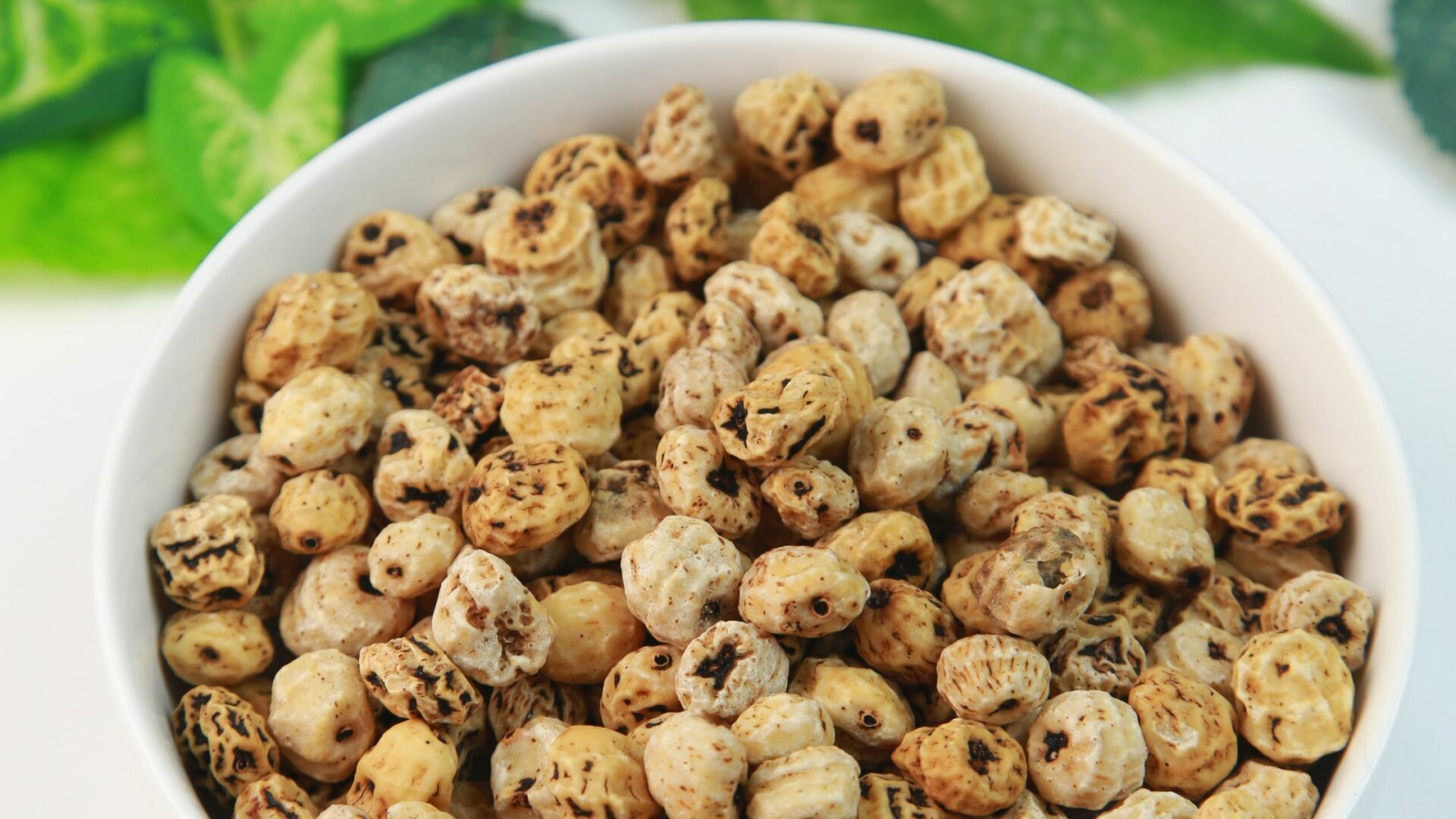 6-amazing-health-benefits-of-tigernuts-khairo-diet-clinic